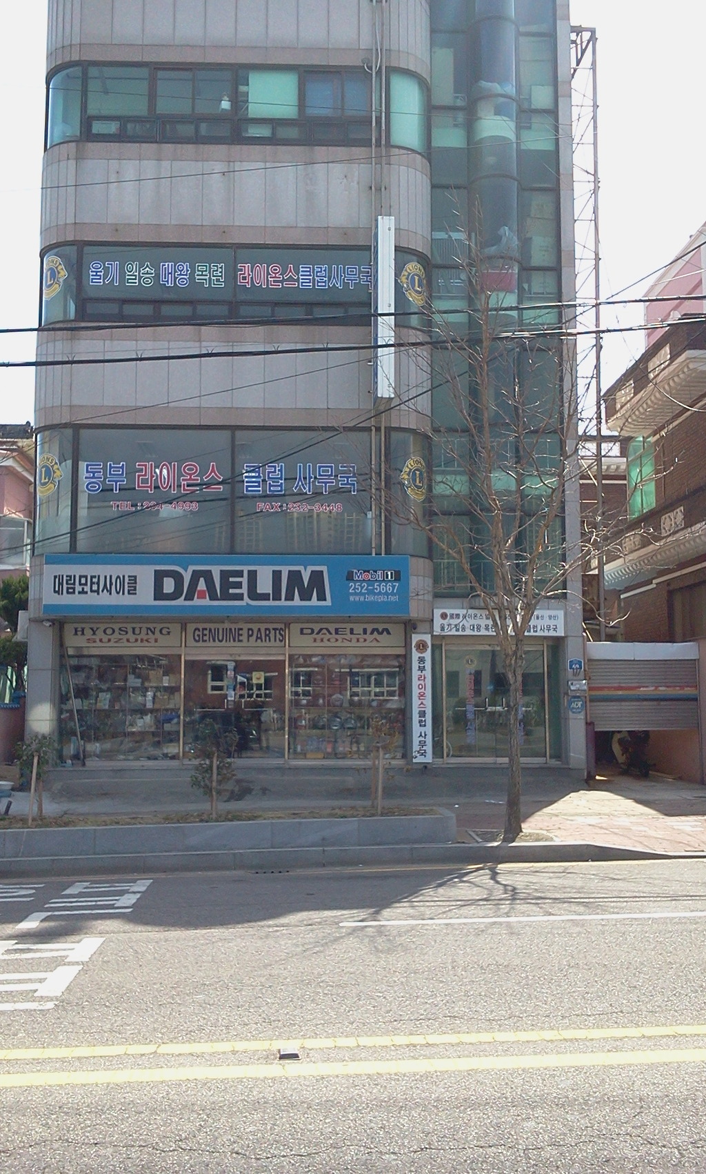 중앙상사 이미지
