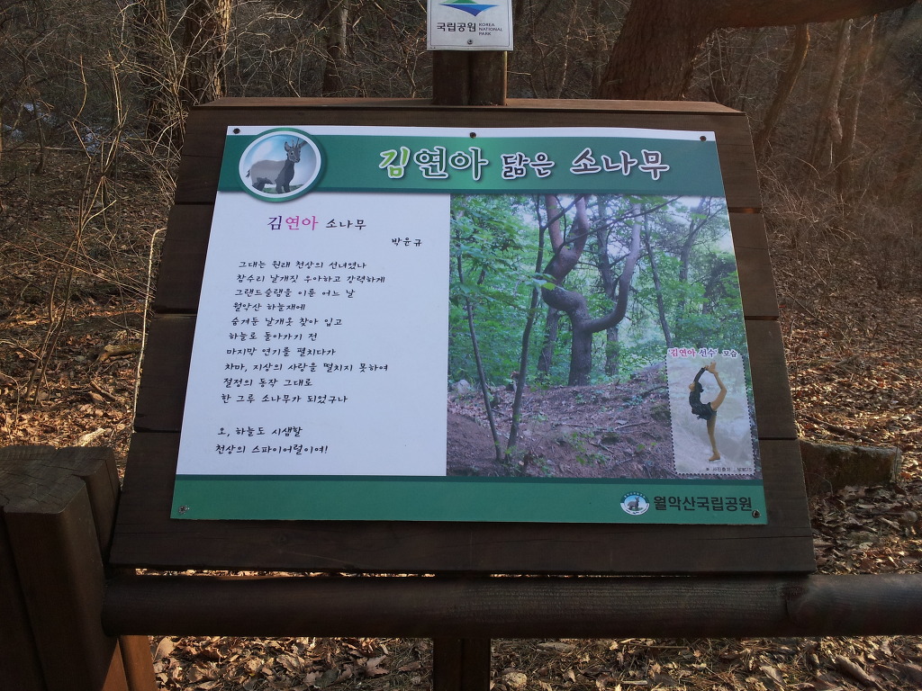 나무친구들 이미지