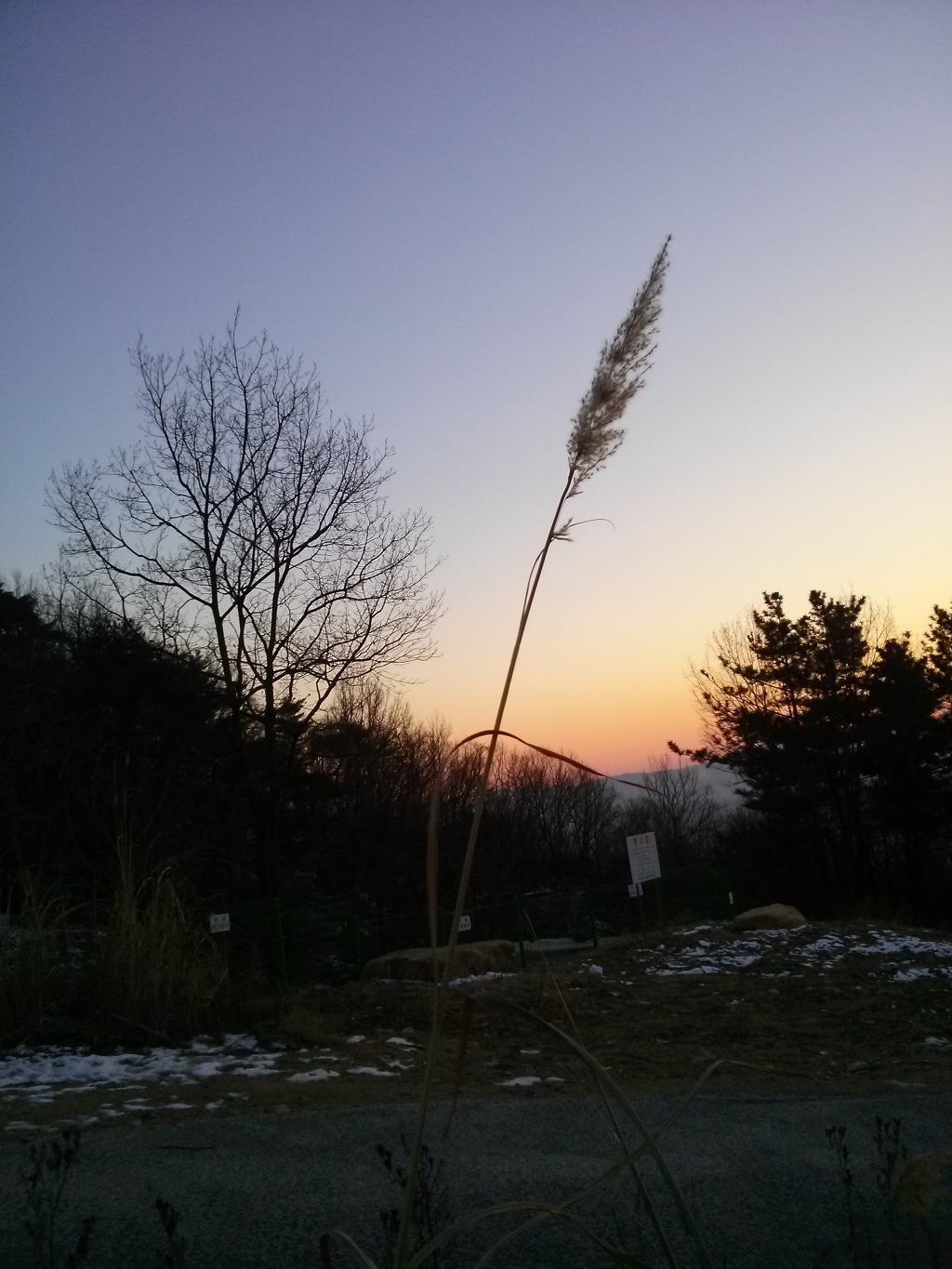 봉화산 이미지