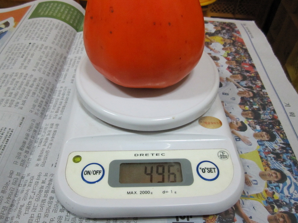 지리산혁이네 이미지