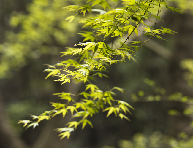 마음이 정화되는 게시물 | 인스티즈