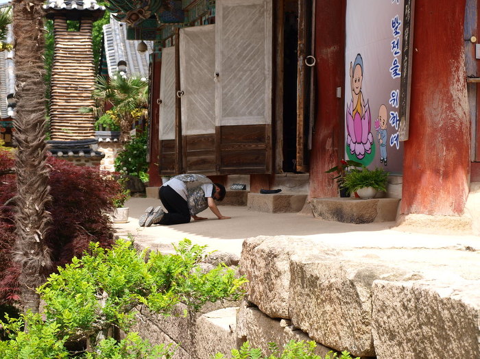 유성관 이미지
