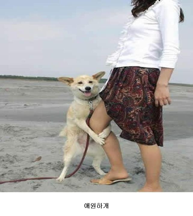 탕탕탕 이미지