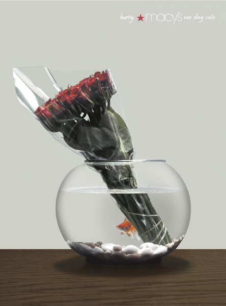 세일광고 이미지