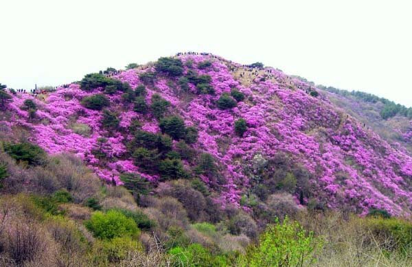 고려산주유소 이미지