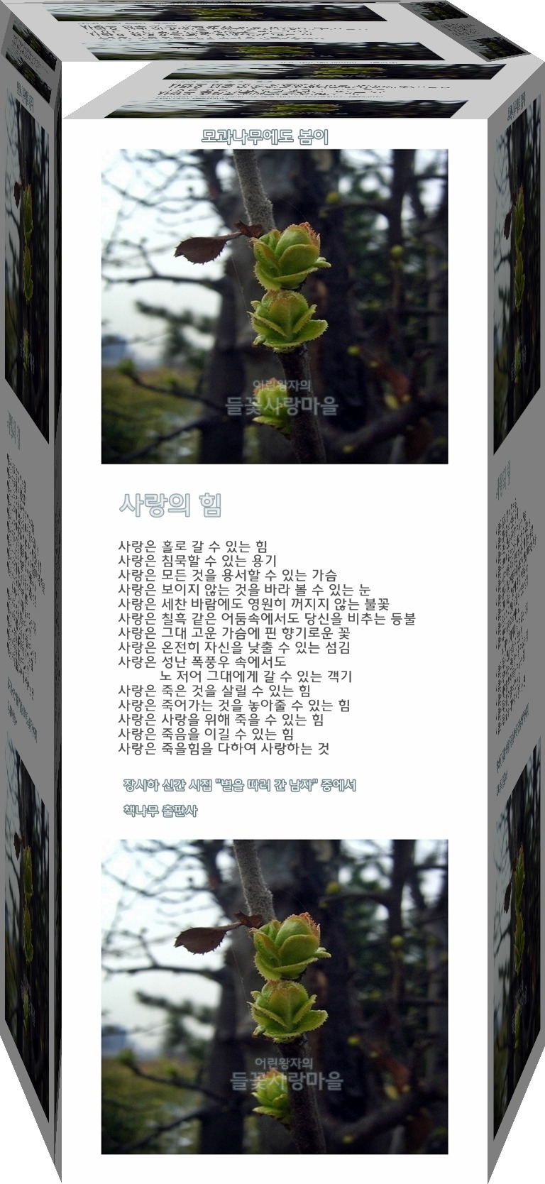 들꽃사랑 이미지