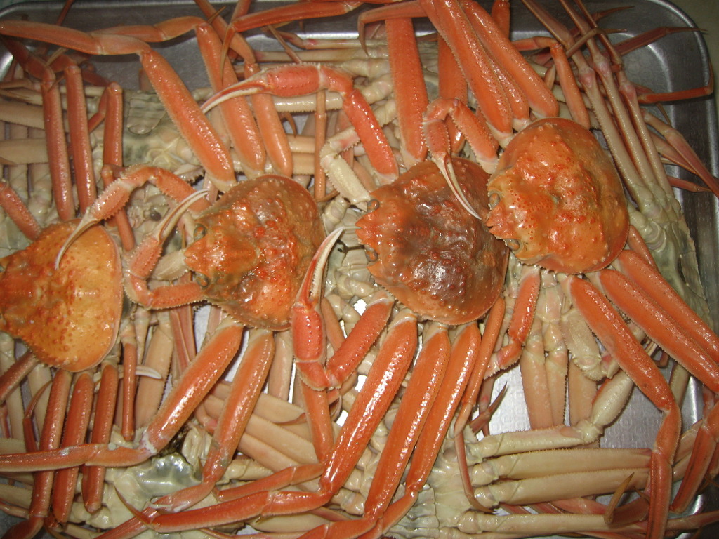 영덕대게 이미지