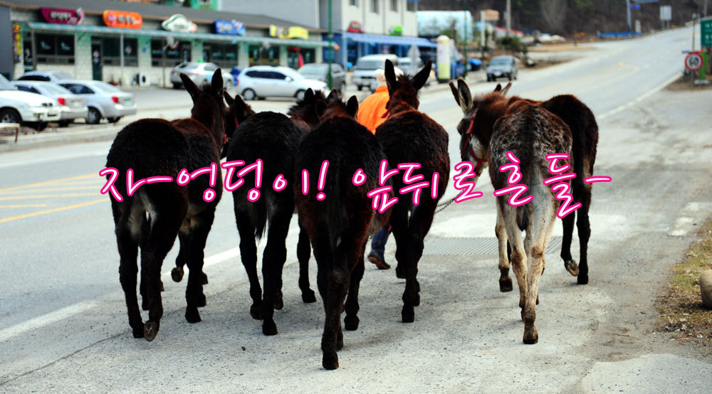 당나귀타는원시마을 이미지