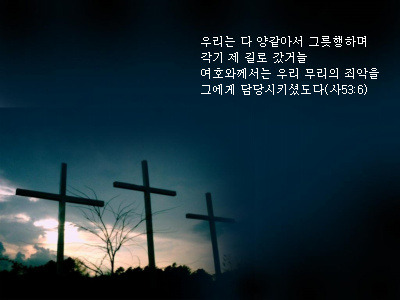 (주)에벤에셀 이미지