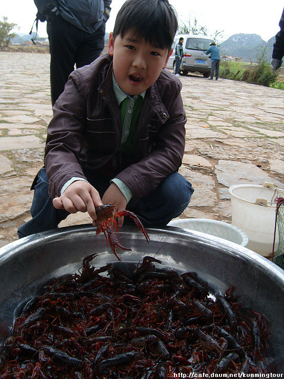 헤이꽃 이미지