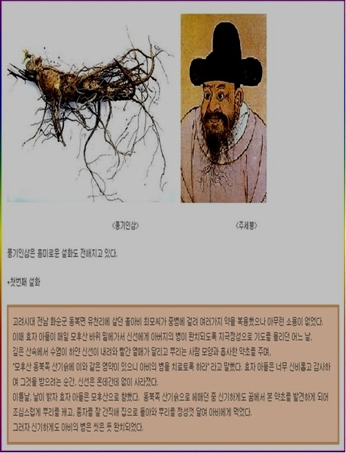 중앙인삼 이미지