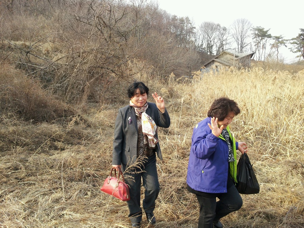 치악산송어횟집 이미지