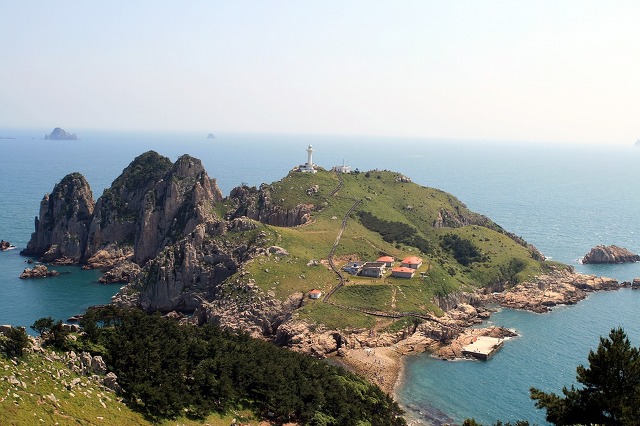 들국화장의사 이미지