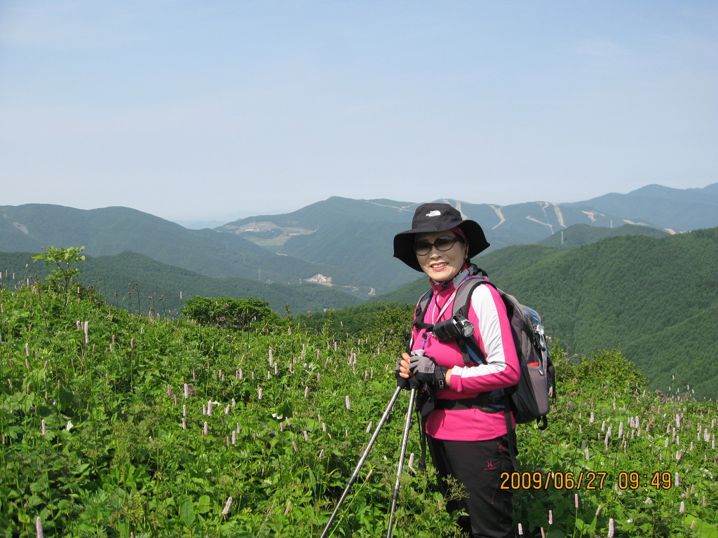 대덕산 정상 이미지