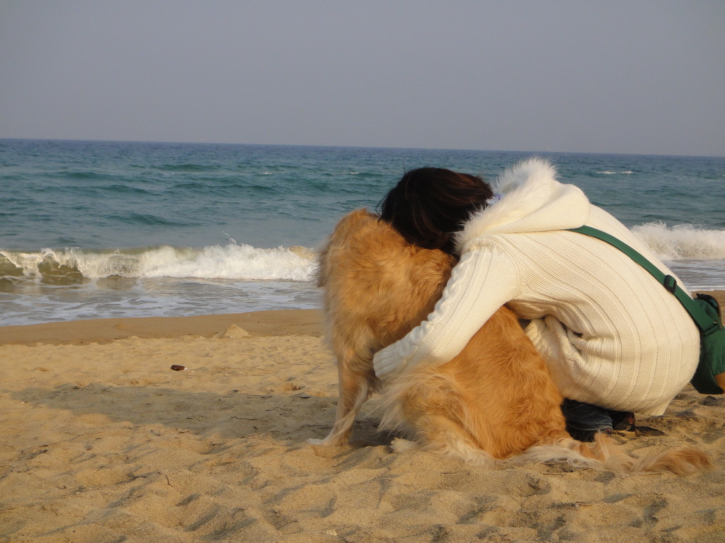 릴리네일 이미지