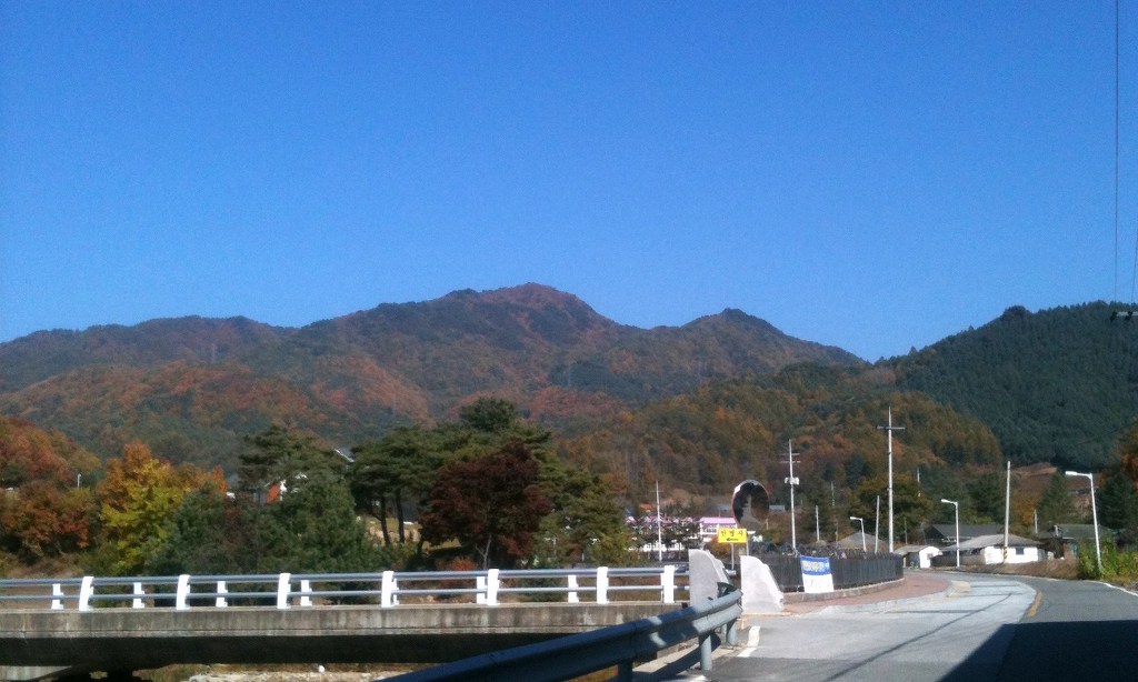 지천농협 이미지