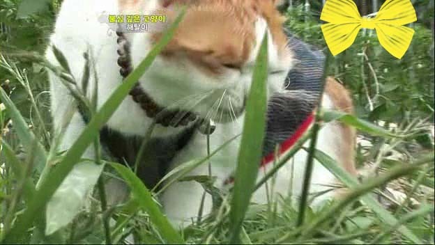 상귀농장 이미지