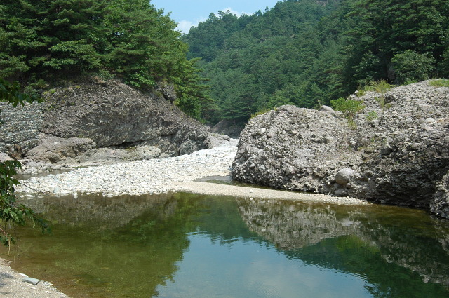 수하 이미지