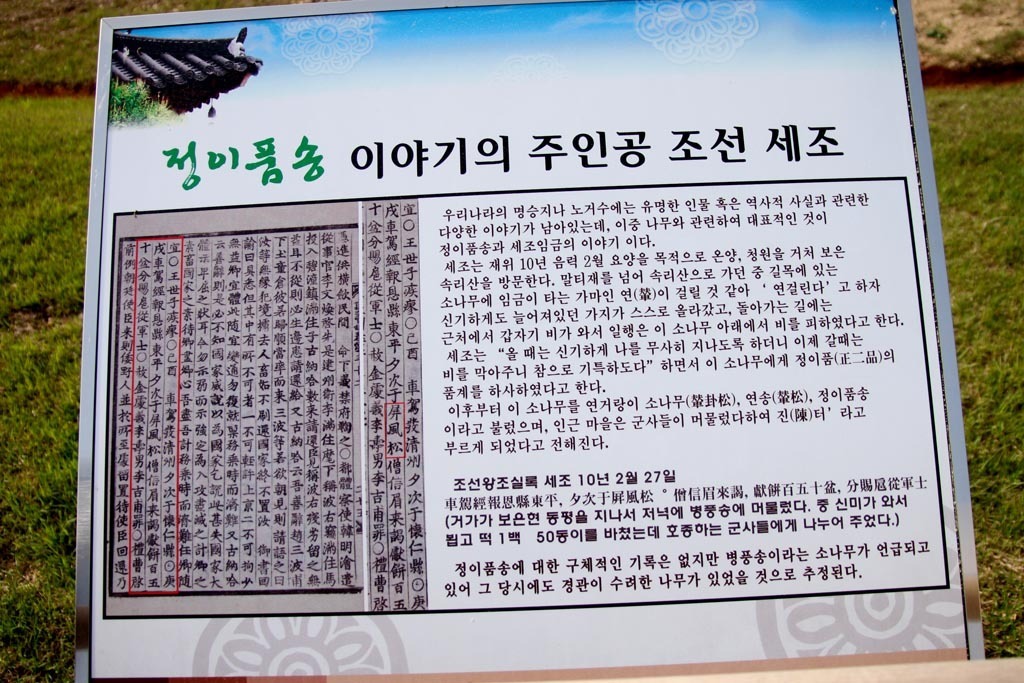 정이품 이미지