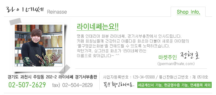 라이네쎄 이미지