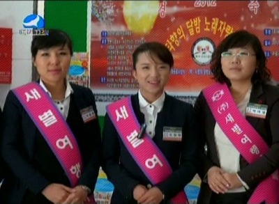 새별여행사 이미지