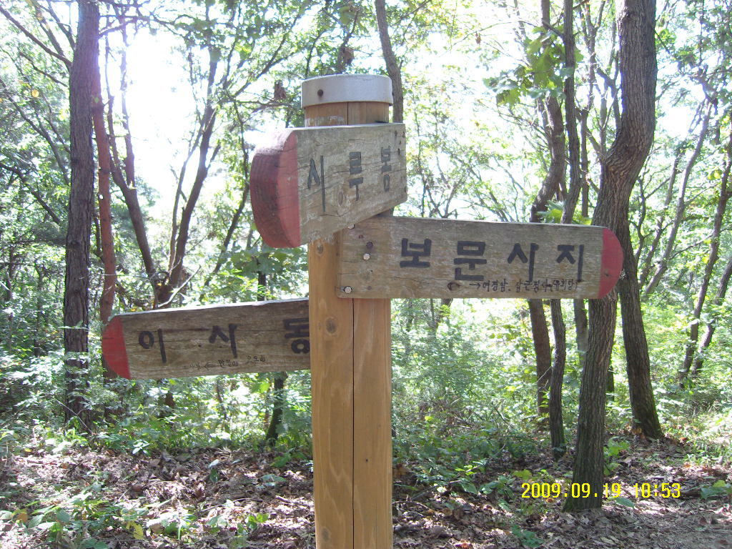 보문산 이미지