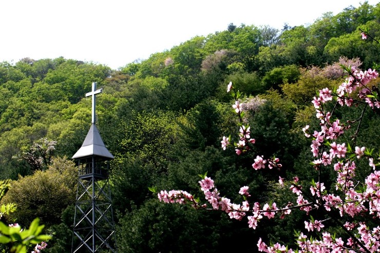 천마산기도원 이미지