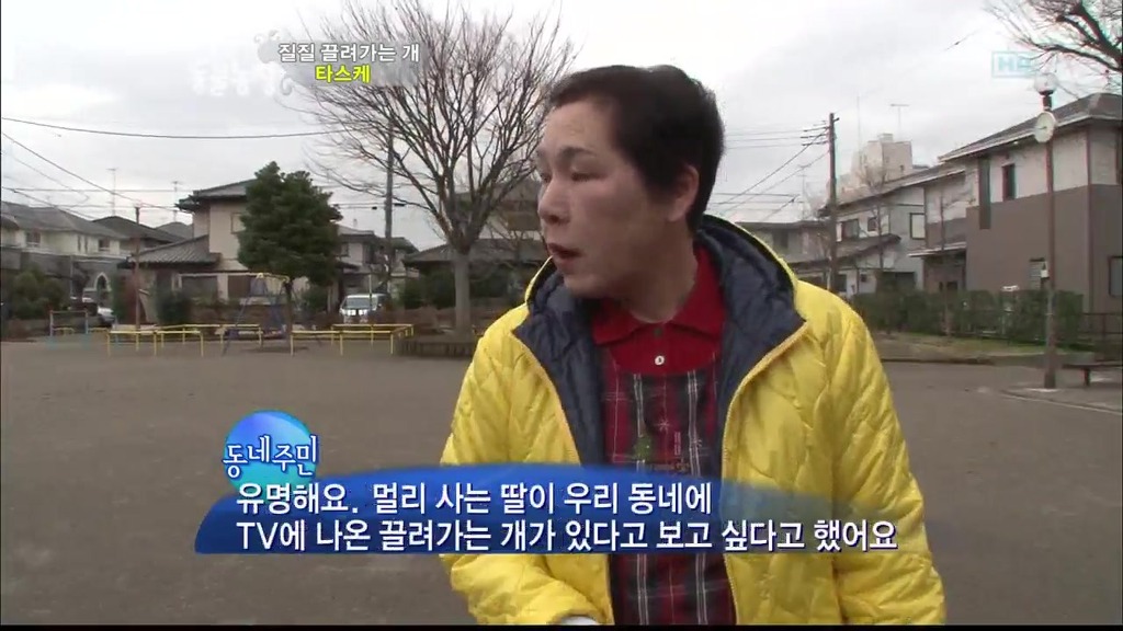 [동물농장] 목줄로 질질 끌려다니는 개.JPG | 인스티즈
