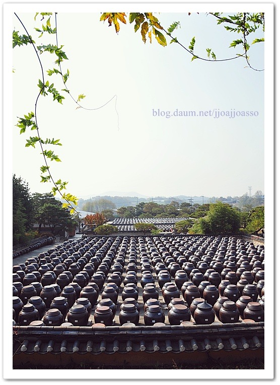솔리 이미지