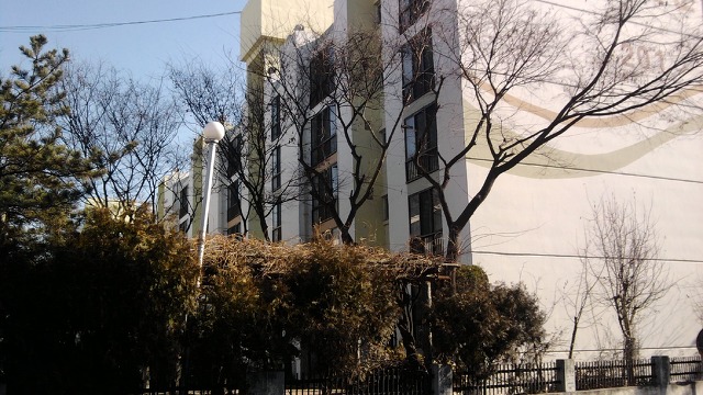 수타피자 이미지