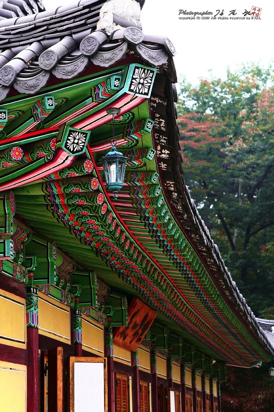 풀무소비자생활협동조합 이미지