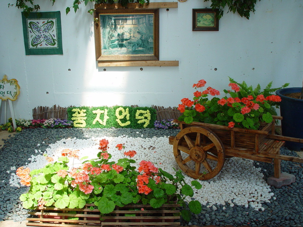 거제도애광원 이미지