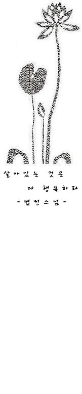 다음카페 : 『가장 행복한 공부』