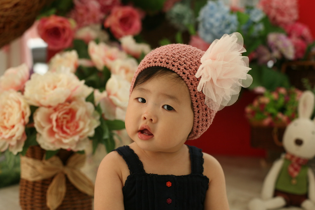 세이치즈 이미지