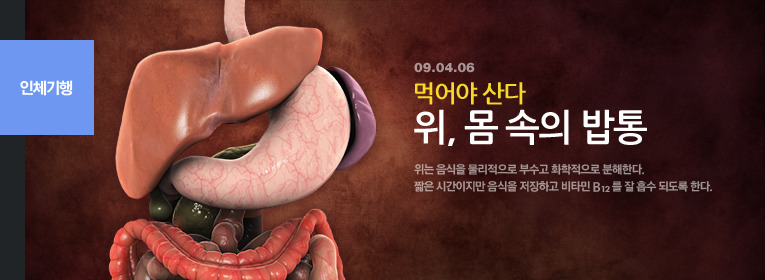 밥통2 이미지