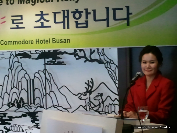 대한국제여행사 이미지