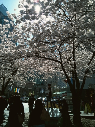 생활D/C 이미지
