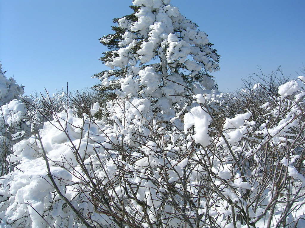 태백산 전경 이미지