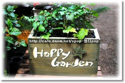 레몬트리플라워 이미지
