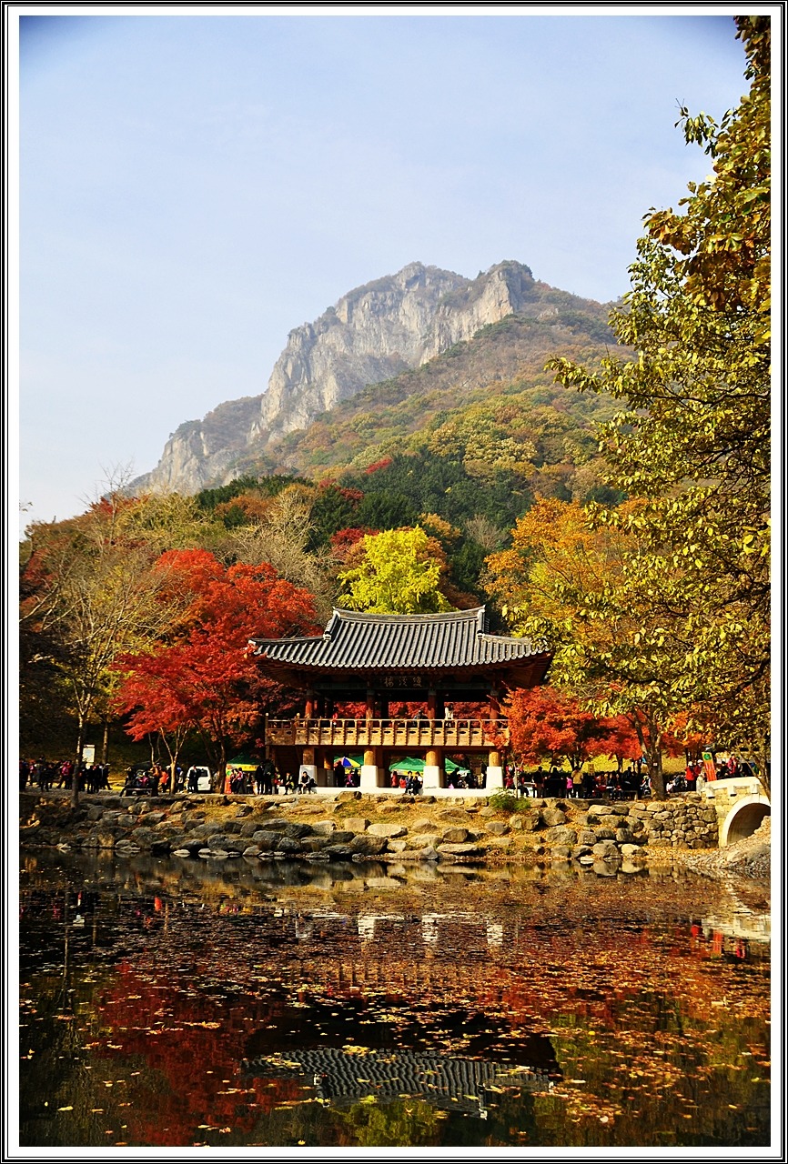 백양사 이미지