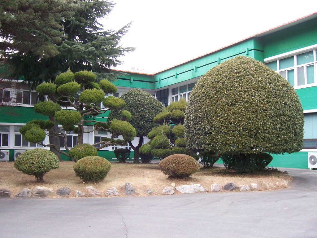 국립마산병원 이미지