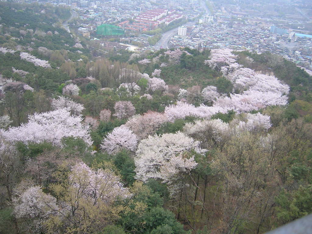 남산코너 이미지