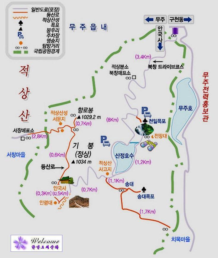 버들의류 이미지
