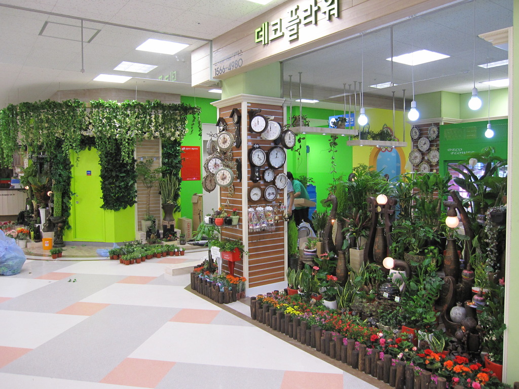 플러스화원 이미지