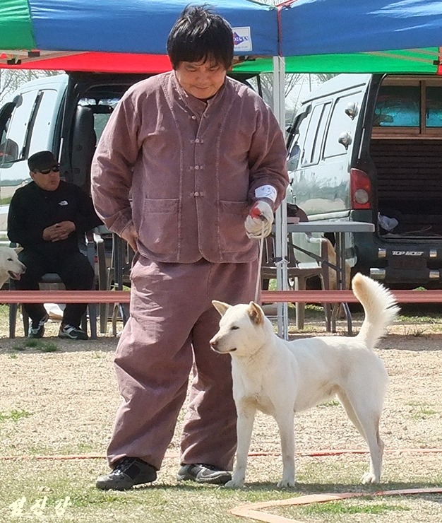 몽실이 이미지