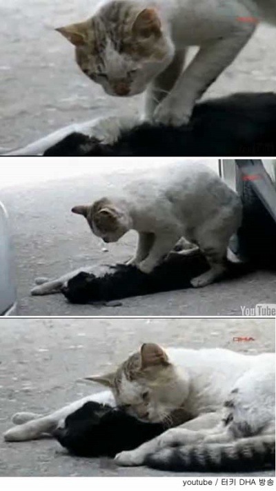 그대 고운 내 사랑아 | 인스티즈