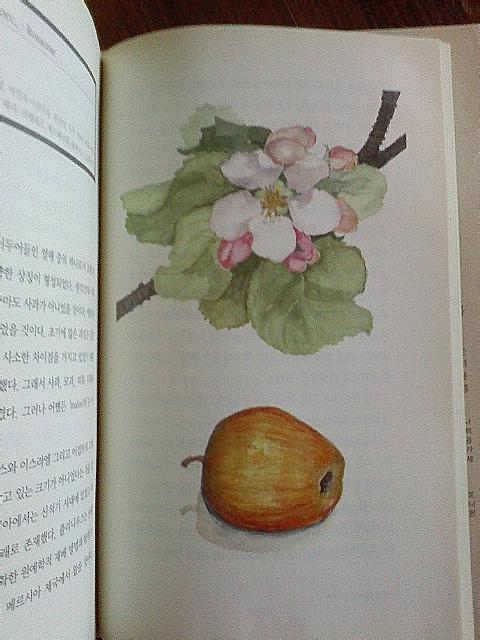 세상에서가장아름다운나무 이미지