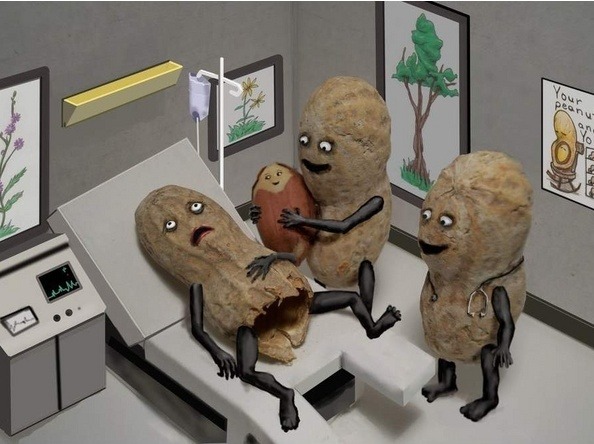 대박땅콩 이미지