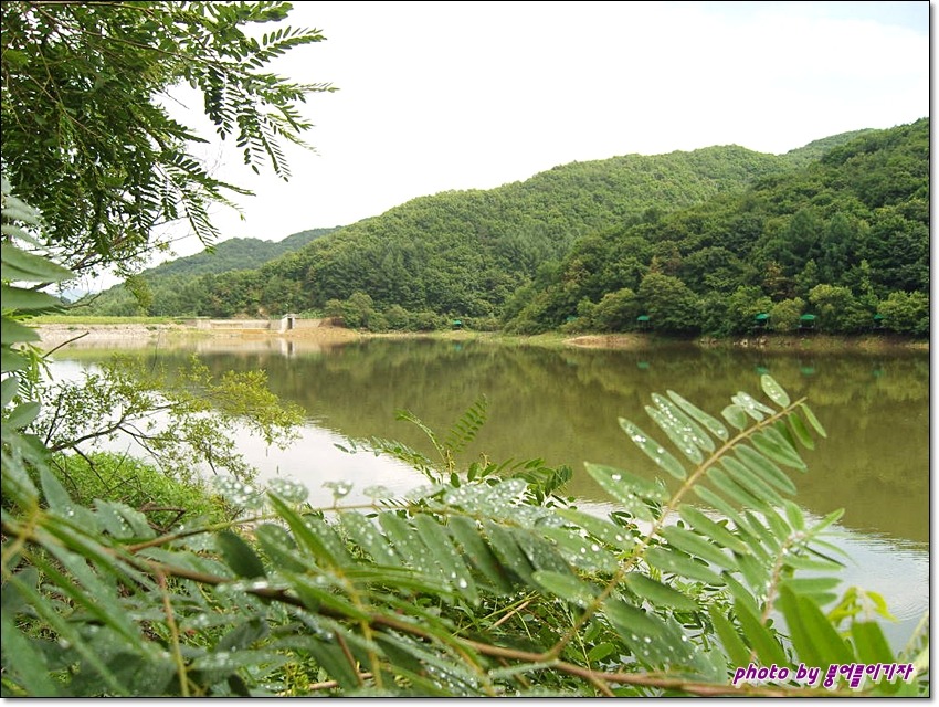 산천초목 이미지