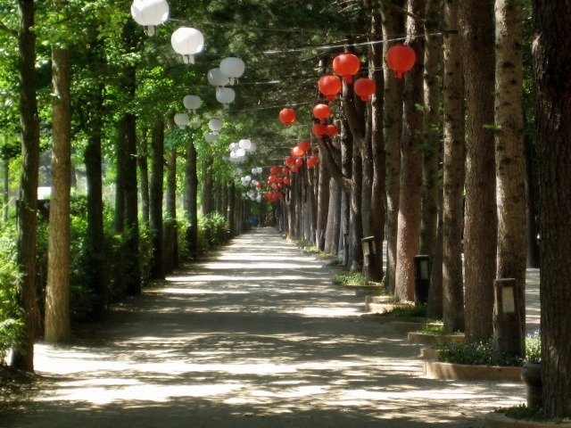 성취선원 이미지
